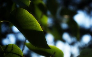 审计追踪